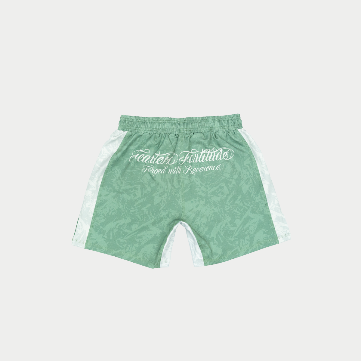 Tenmei Original / The Palette MMA ショーツ Green