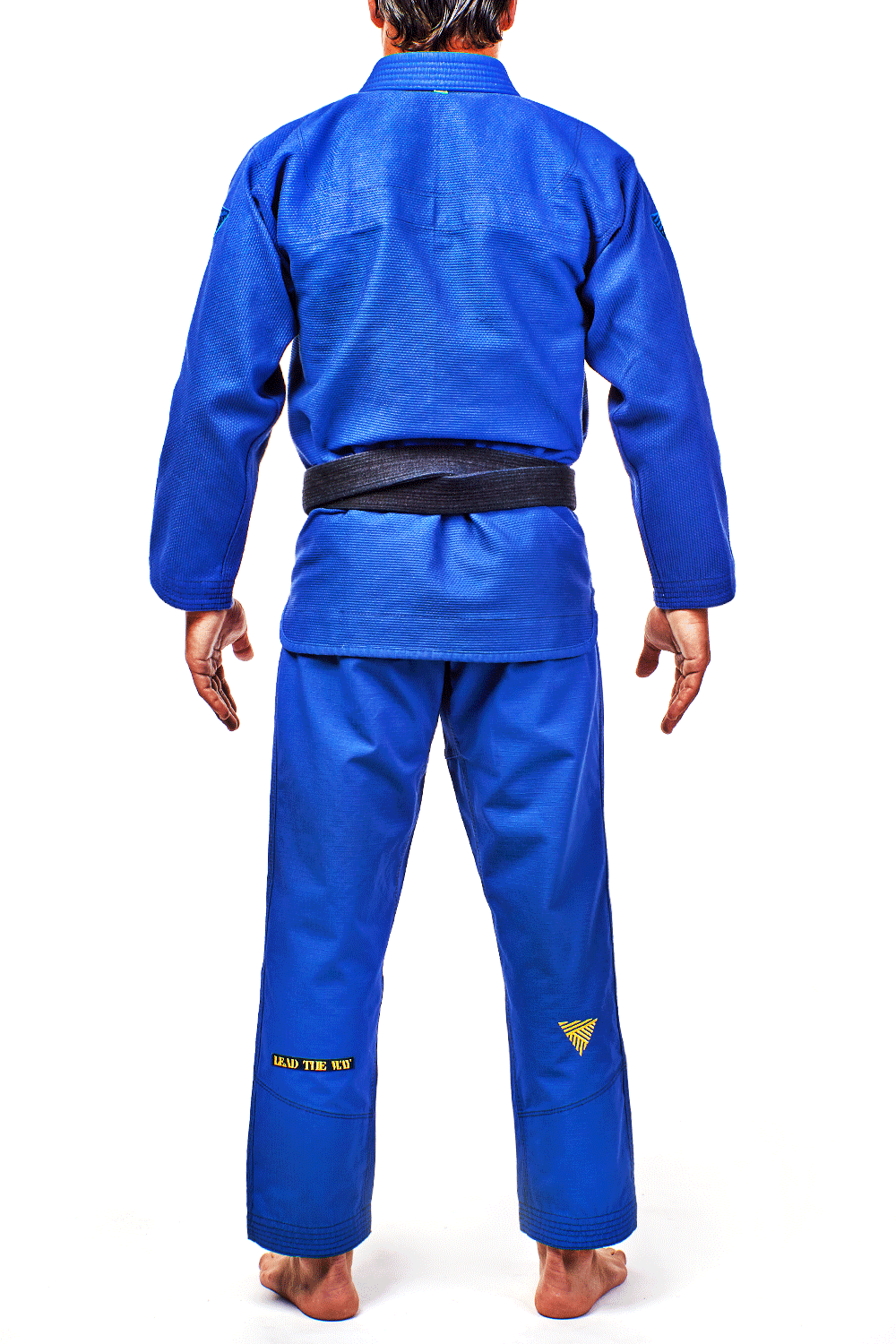 EV0_BLUE_BACK.png?v=1597318353 EV0_BLUE_BACK.png?v=1597318353